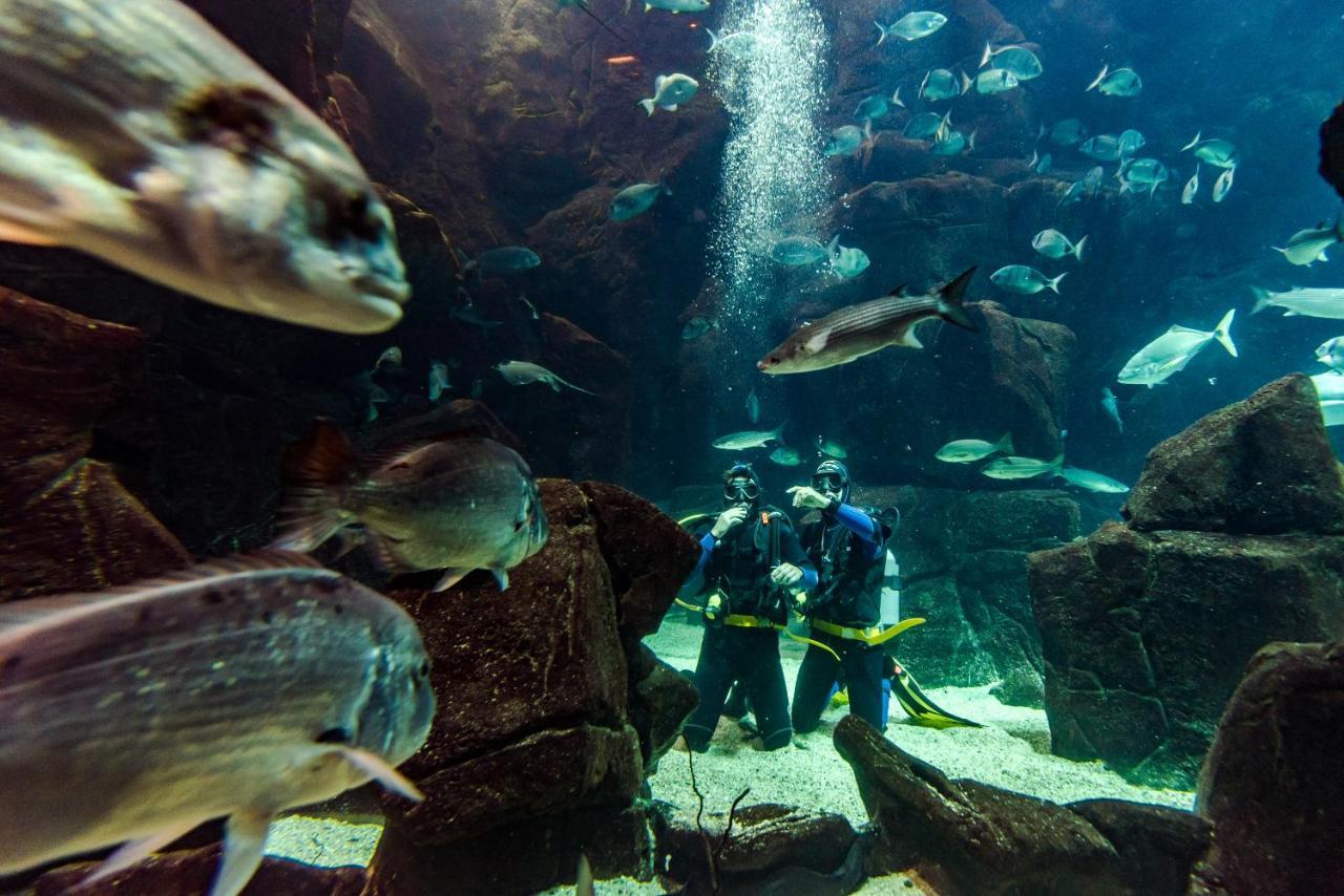 Aqua Natura Madeira Porto Moniz Dış mekan fotoğraf